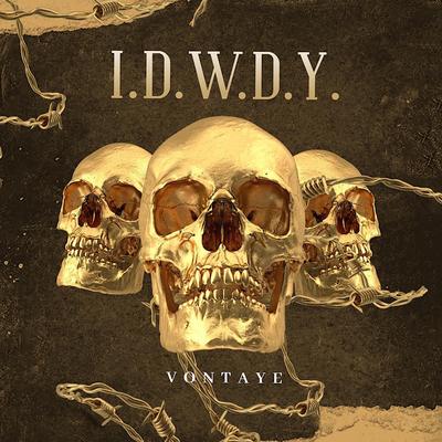 I.D.W.D.Y's cover