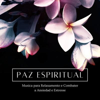 Combater a Ansiedade By Paz Nirvana's cover