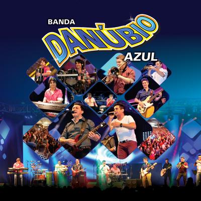 Festa No Bailão (Ao Vivo) By Danúbio Azul's cover