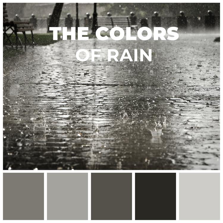 The Colors Of Rain's avatar image