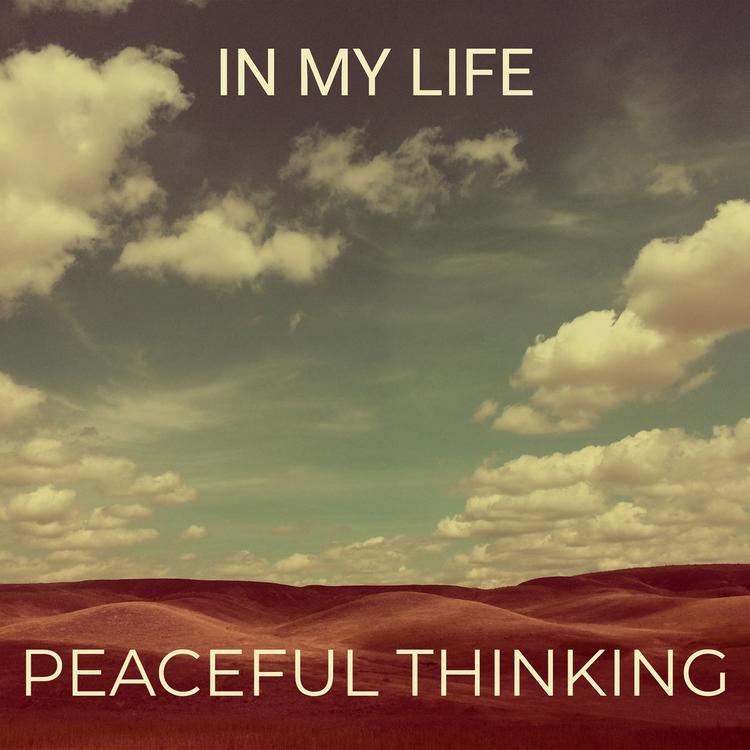 Peaceful thinking's avatar image