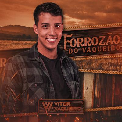 Forrozão do Vaqueiro's cover