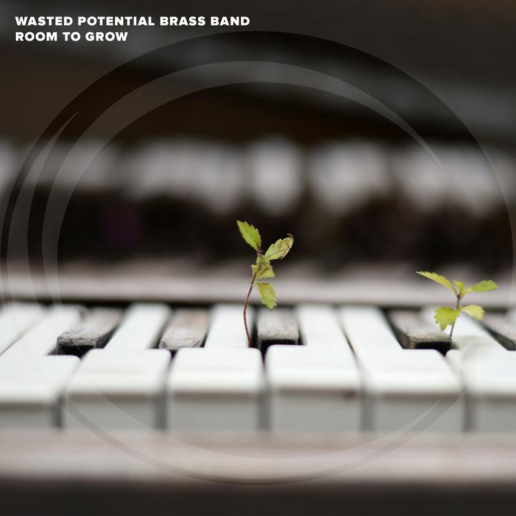 Wasted Potential Brass Band's avatar image