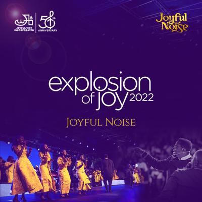 Joyful Way Incorporated's cover