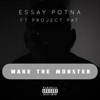 Essay Potna's avatar cover