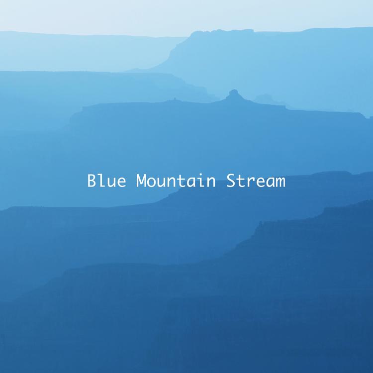 Blue Mountain Stream's avatar image