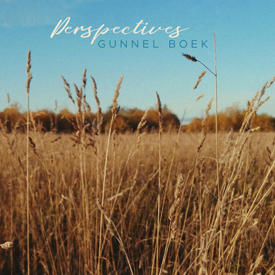 Perspectives By Gunnel Boek's cover