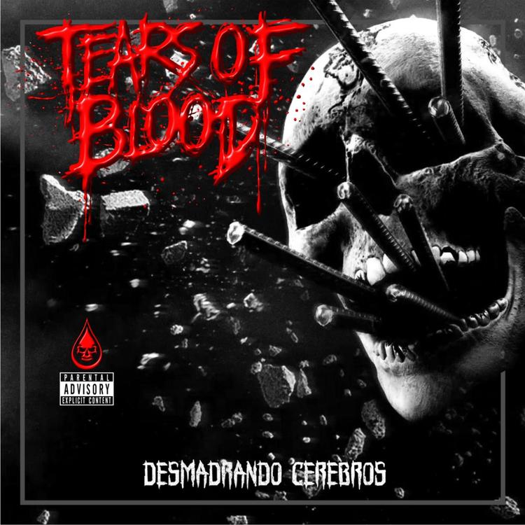 Tears Of Blood's avatar image