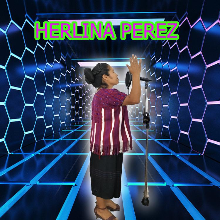 HERLINDA PEREZ's avatar image