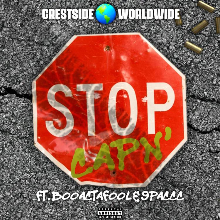 Crestside Worldwide's avatar image