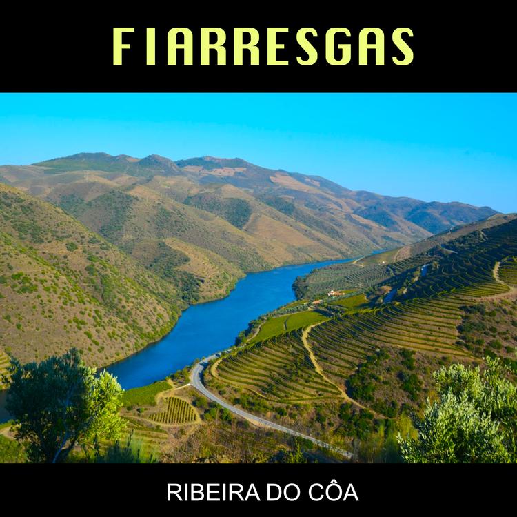 Fiarresgas's avatar image