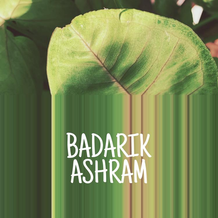 Badarik's avatar image
