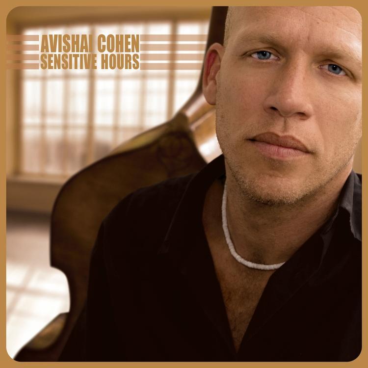 Avishai Cohen's avatar image