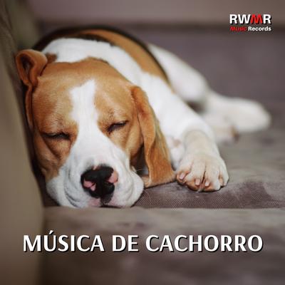 Canção relaxante para um cachorro (Piano) By RW Sons naturais para cães's cover