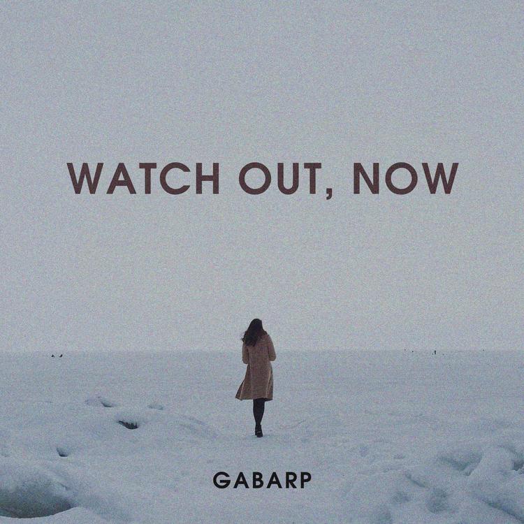 GabArp's avatar image