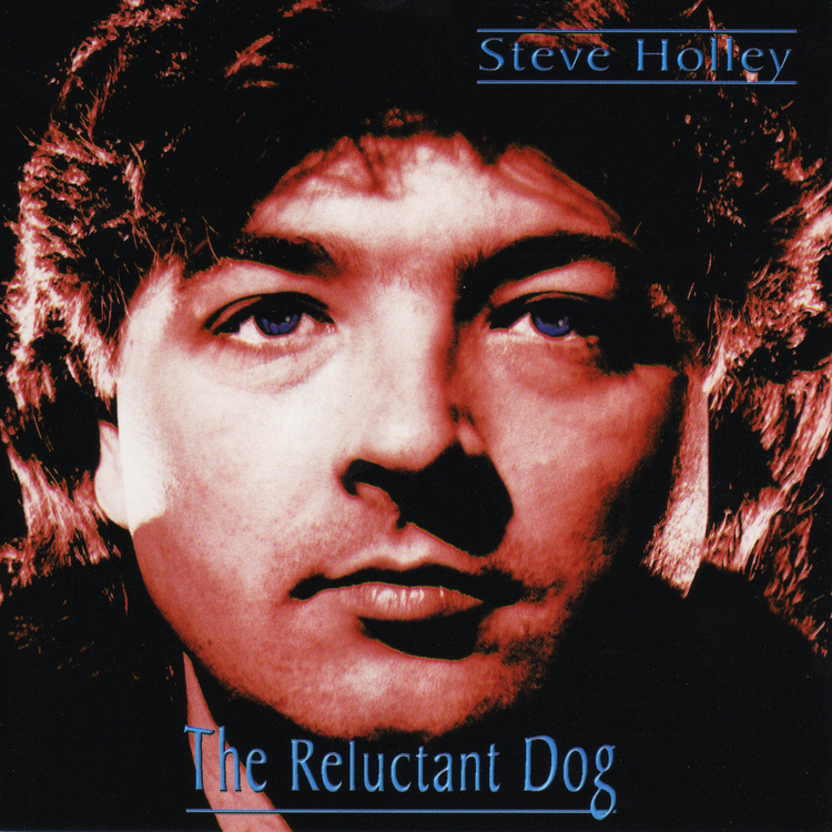 Steve Holley's avatar image