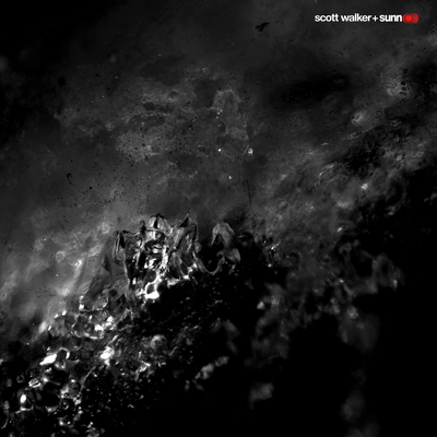 Brando By Scott Walker, Sunn 0)))'s cover