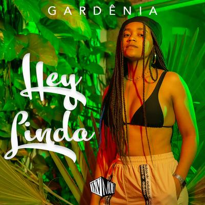 Hey Linda By Gardênia, Tu Não Viu Mob's cover