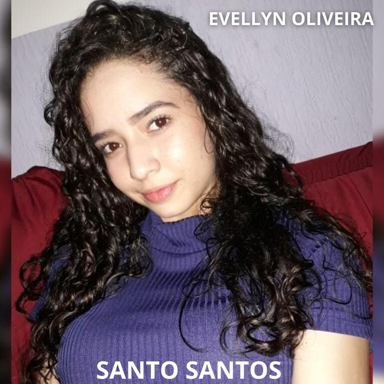 Evellyn Oliveira's avatar image