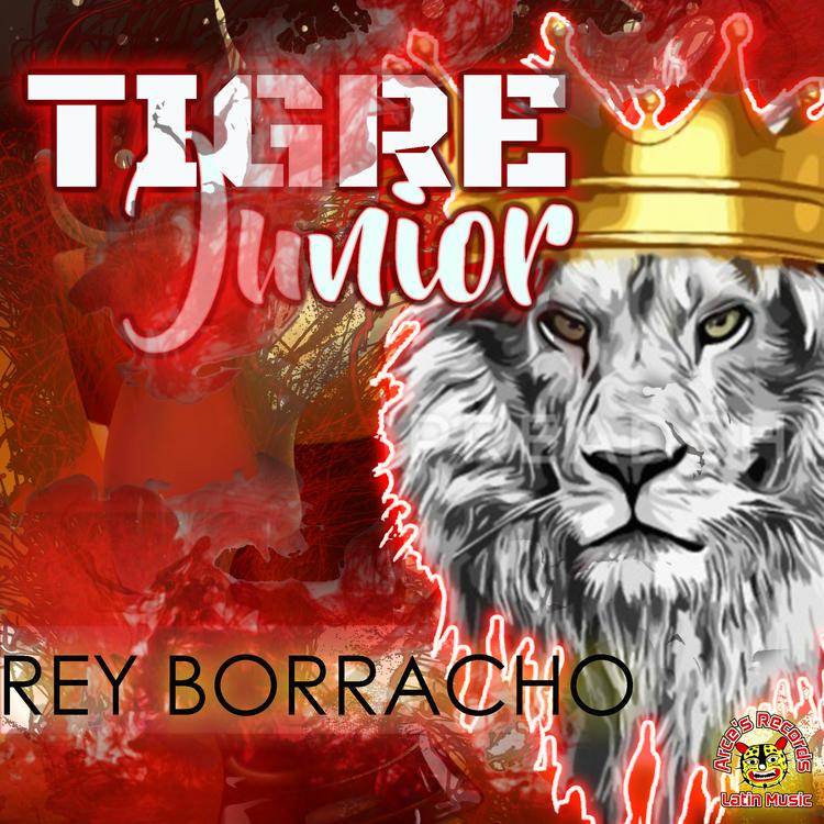 Tigre Junior's avatar image