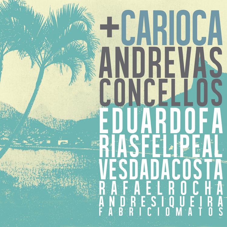 Andre Vasconcellos's avatar image