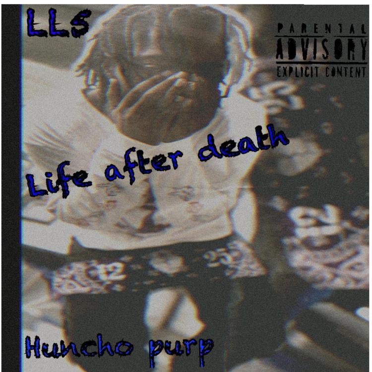 Huncho Purp's avatar image