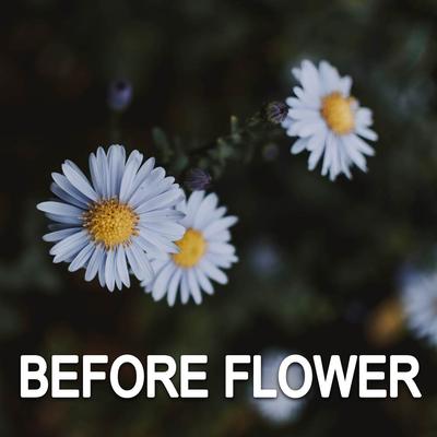 Before Flower's cover