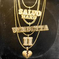 Salvo Hard's avatar cover