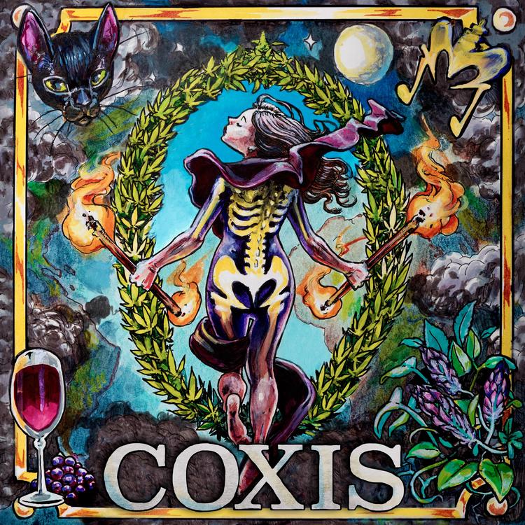 Coxis's avatar image