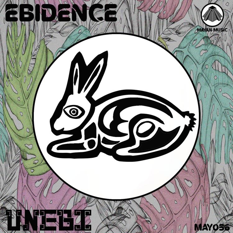 Ebidence's avatar image