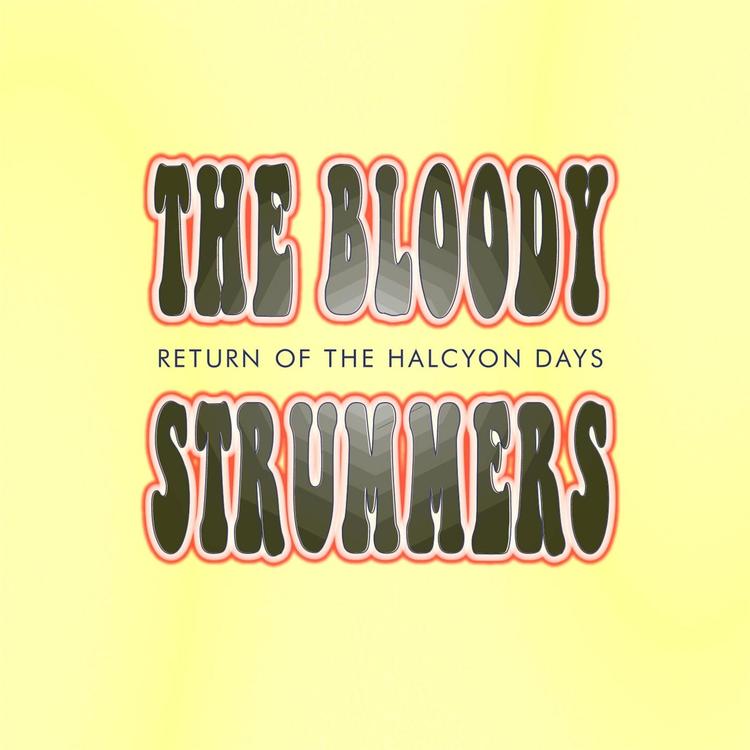 The Bloody Strummers's avatar image