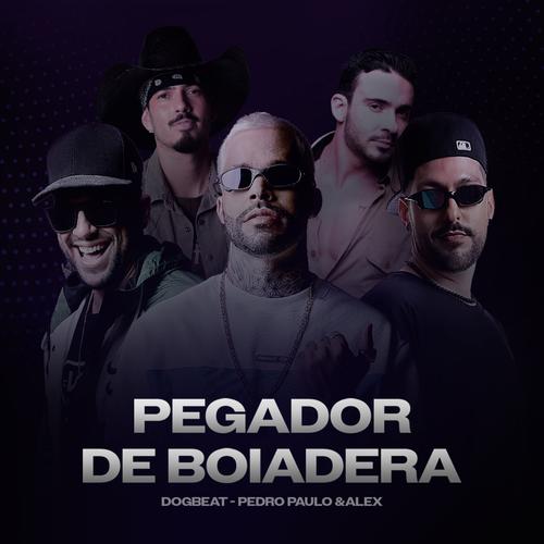 Pegador de Boiadeira's cover