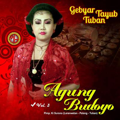 TAYUB AGUNG BUDOYO, Vol. 3's cover