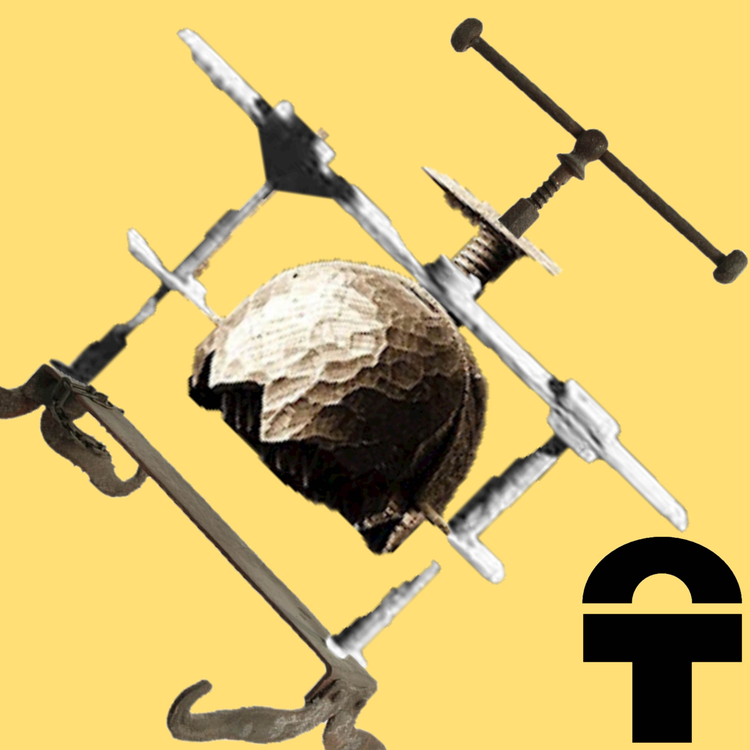 Torture Chamber's avatar image