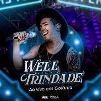 Well Trindade's avatar cover