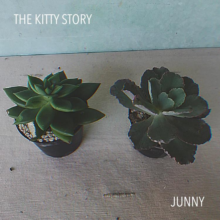 The Kitty Story's avatar image