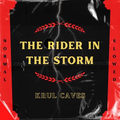 The Rider In The Storm (Slowed)'s cover