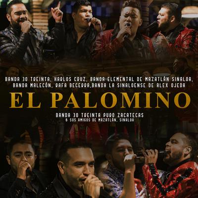 El Palomino (Puro Zacatecas y Nuestros Amigos De Mazatlán Sinaloa)'s cover