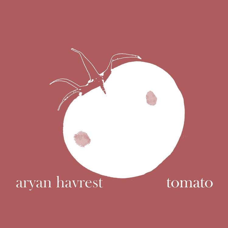 Aryan Havrest's avatar image