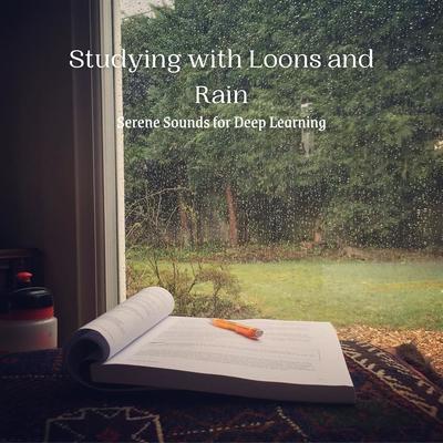 Raindrop Resonance By Rain In Spain, Relaxing Study Music Project, Study Music Collective's cover