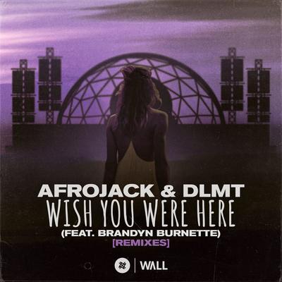 Wish You Were Here (feat. Brandyn Burnette) [Karim Meknassi Remix] By AFROJACK, DLMT, Brandyn Burnette 's cover