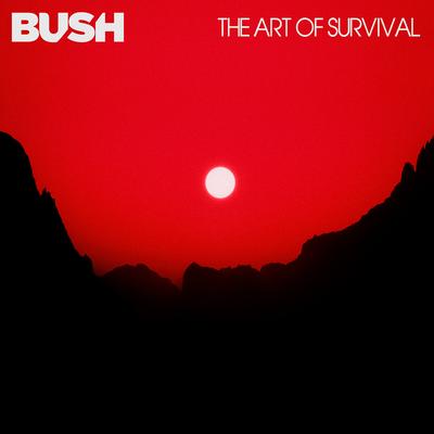 The Art Of Survival's cover