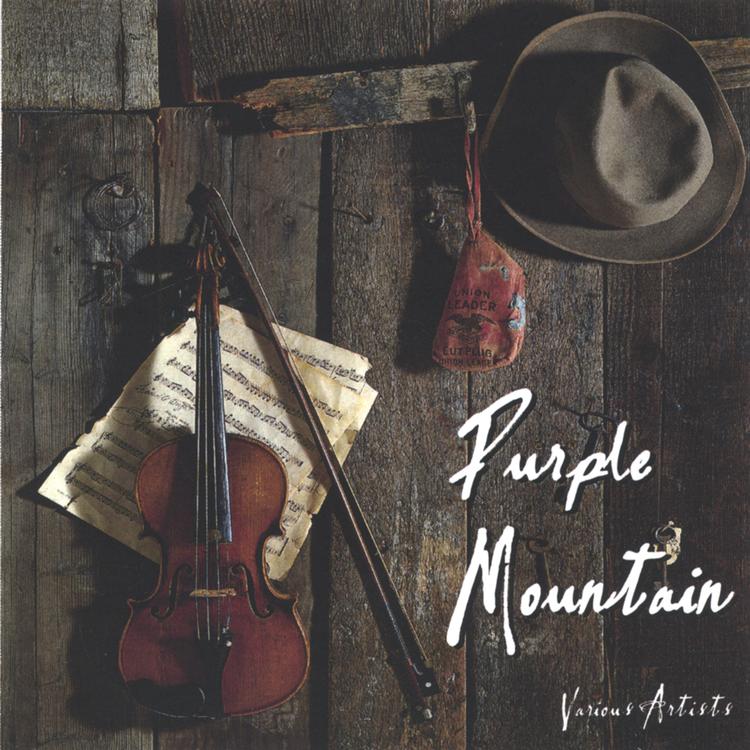 Purple Mountain's avatar image