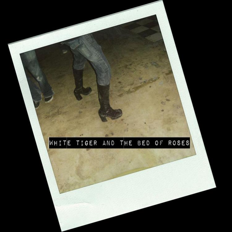 White Tiger and the Bed of Roses's avatar image