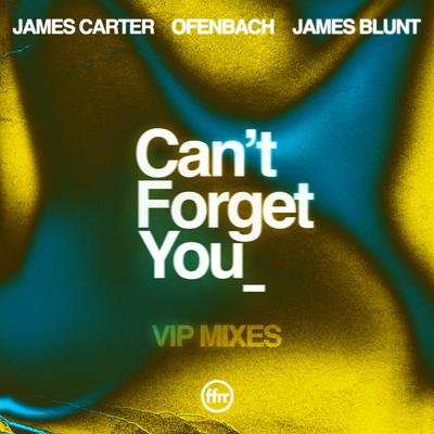 Can’t Forget You (feat. James Blunt) [James Carter VIP Remix] By Ofenbach, James Blunt, James Carter's cover