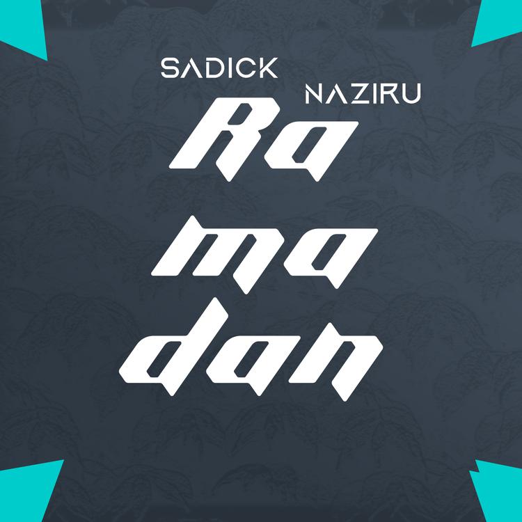 Sadick Naziru's avatar image