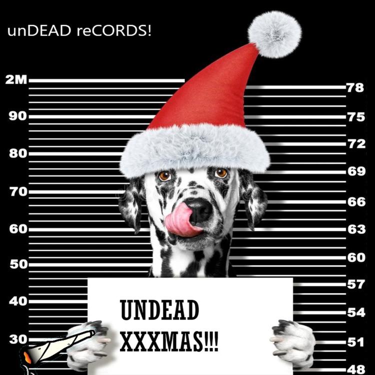 unDEAD reCORDS!'s avatar image