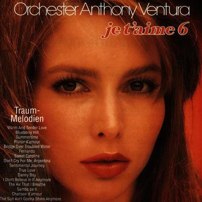 Bridge over Troubled Water By Orchester Anthony Ventura's cover