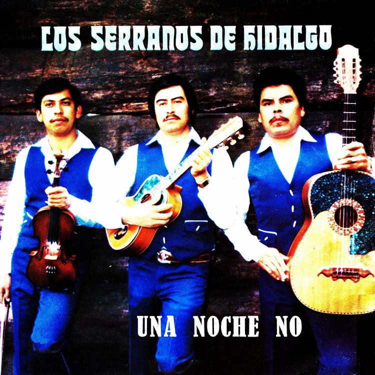 Los Serranos de Hidalgo's avatar image