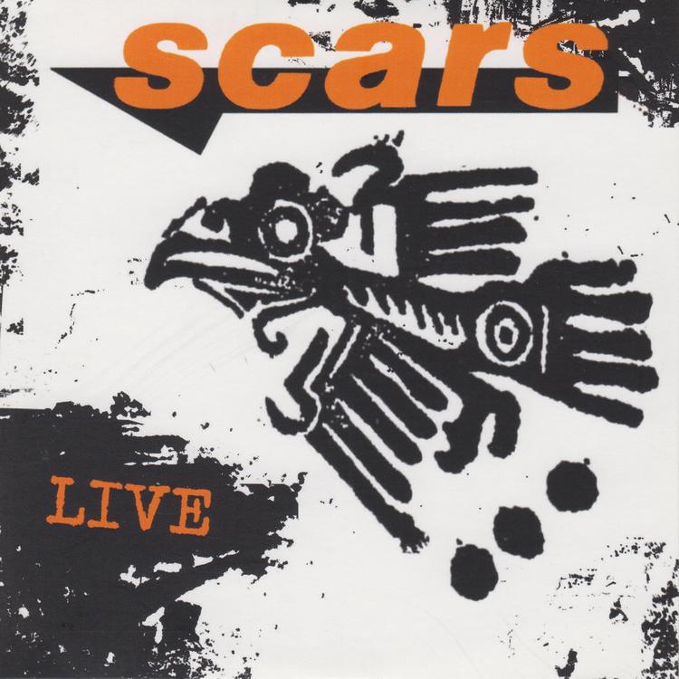 Scars's avatar image